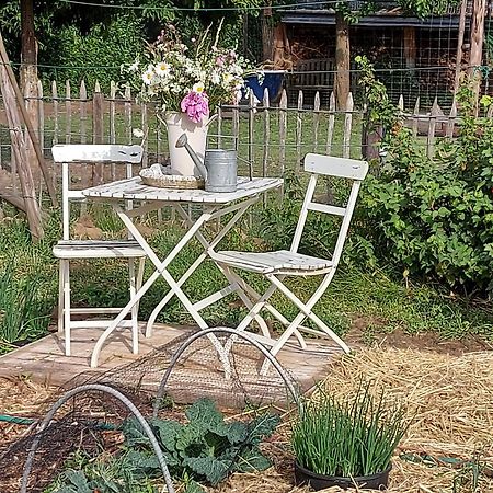 Widdingenhof Bed & Breakfast Wellen Exterior photo