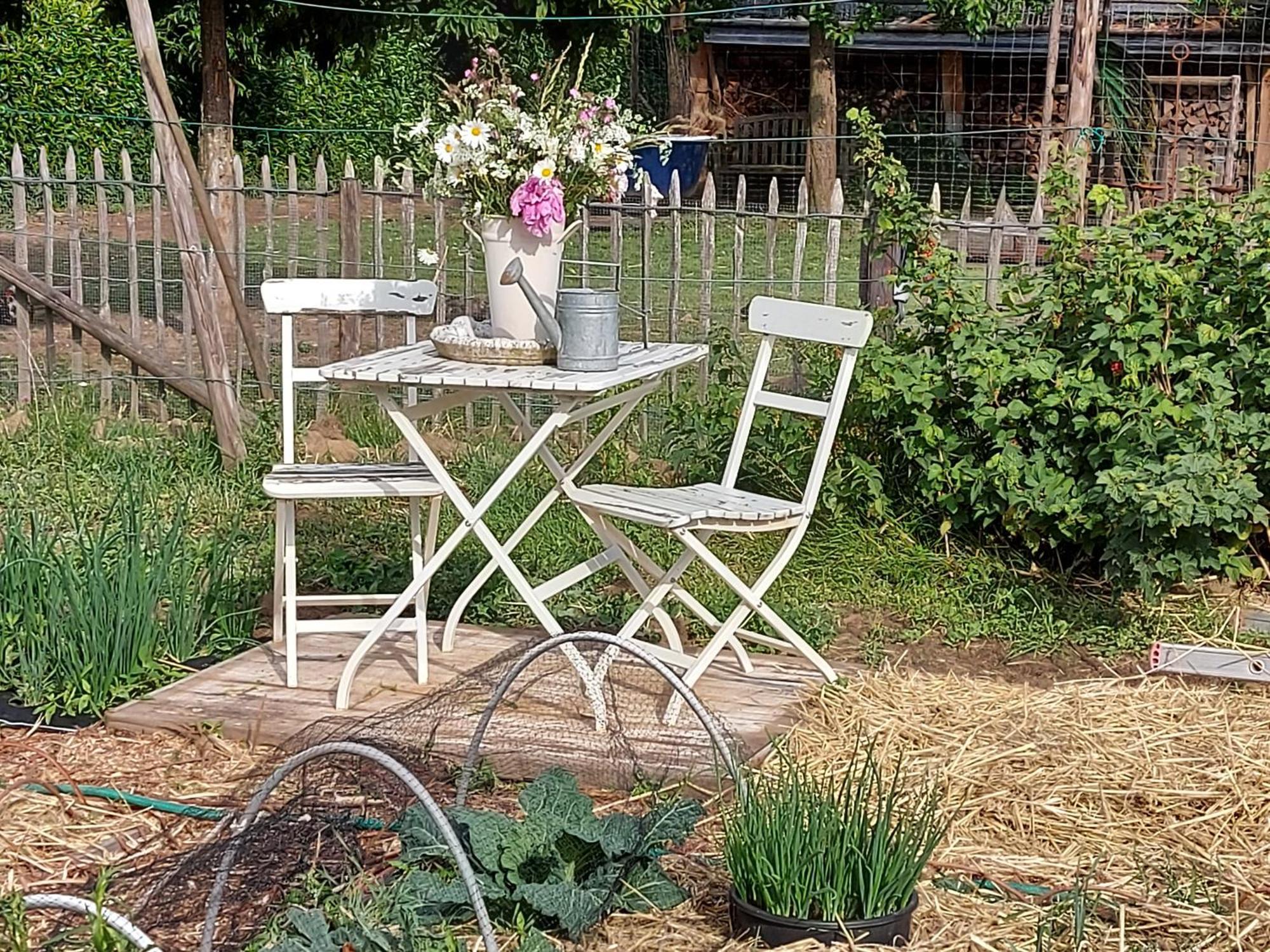 Widdingenhof Bed & Breakfast Wellen Exterior photo